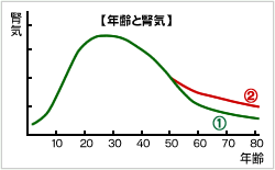 年齢と腎気